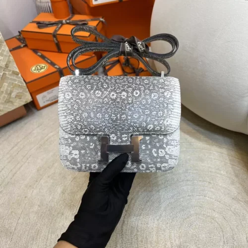 Hermes Ombre Lizard Leather Constance 19CM Silver Hardware