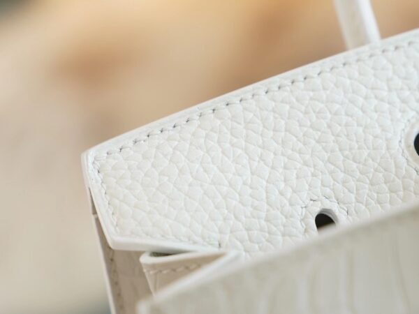 028434c385dbd82 Hermes Birkin House 20CM Four Leathers 01 Blanc/ 8L Beton Silver Hardware