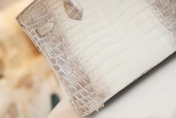 04b015506f48ee0 Full Handmade Hermes Himalaya HCP Niloticus Crocodile Birkin25CM Silver Hardware