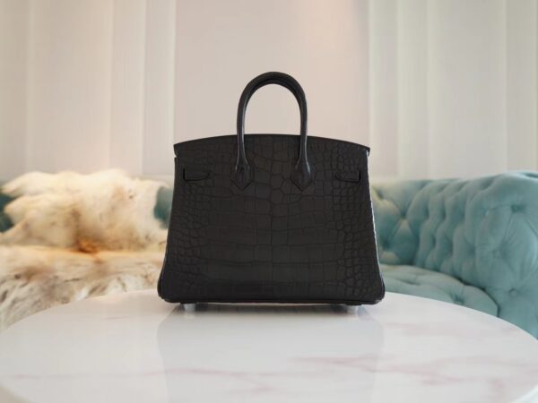 067f1d058a15a55 Hermes Shop CK89 Nior Birkin 25CM HCP Matte Alligator Silver Hardware
