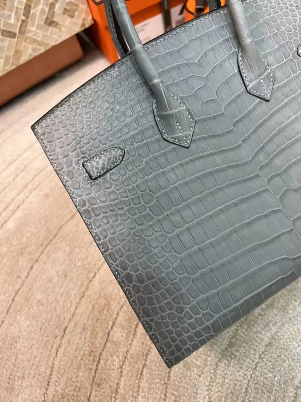 07beece2dc920a8-jpg Hermes Birkin Sellier 25CM Matte Alligator 0W Gris Neve Gold Hardware