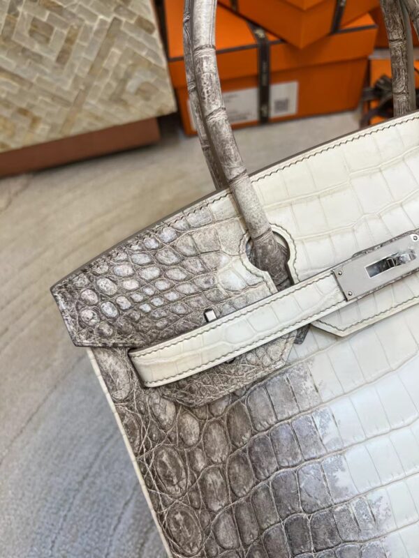 089c3eb9e789107 Canada Ottawa Hermes Himalaya Crocodile Leather Birkin 30CM Silver Hardware