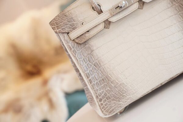 0d178602ecb75a1 Full Handmade Hermes Himalaya HCP Niloticus Crocodile Birkin25CM Silver Hardware