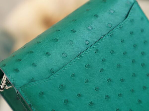 0df0bd551a1f160 Sale God Factory Bags Hermes Roulis Mini18cm U4 Vert Vertigo KK Ostrich Leather Silver Hardware