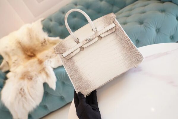 0e372f29d77e465 Full Handmade Hermes Himalaya HCP Niloticus Crocodile Birkin25CM Silver Hardware