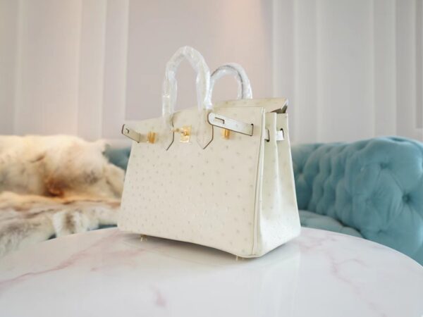 0e88f6bee27a23c God Factory Bags Factory Hermes 8L Beton South Africa KK Ostrich Birkin Bag25CM