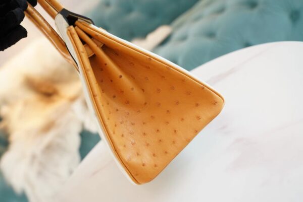 11830cd4a73c20d God Factory Bags Hermes Birkin Bag25CM 3C Parchemin/1H Toffe KK Ostrich Leather Gold Hardware