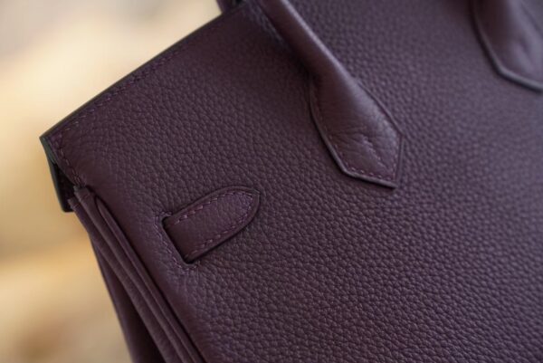 1485d0db28f65bd USA New York Hermes Birkin 25CM Togo 59 Raisin Gold Hardware