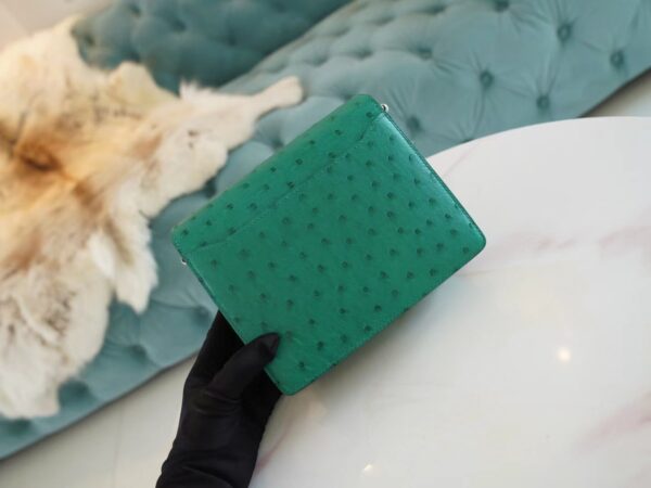 158592ef4ae57ec Sale God Factory Bags Hermes Roulis Mini18cm U4 Vert Vertigo KK Ostrich Leather Silver Hardware