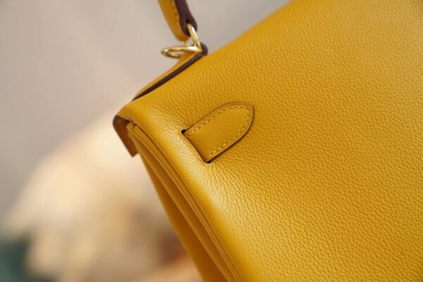 1634749e56c06d6 New God Factory Bags Hermes 9D Amber Evercolor Kelly Bag 28CM Gold Hardware