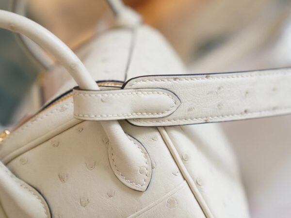 16b2bf0acccf408 Special Order Hermes South KK Ostrich Mini Lindy 19CM I2 Nata Gold Hardware