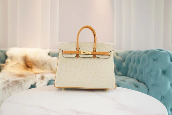1ac4ac0794ad0cf-1 God Factory Bags Hermes Birkin Bag25CM 3C Parchemin/1H Toffe KK Ostrich Leather Gold Hardware