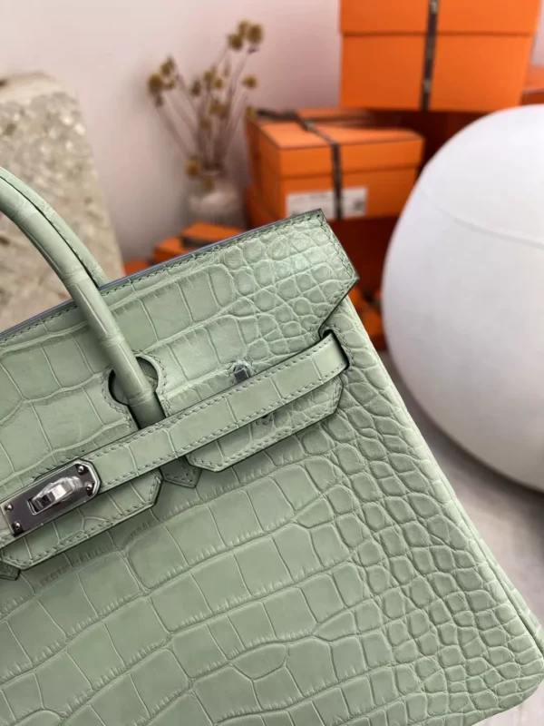 1dbd3c1eb88e90b-jpg Hong Kong Hermes 6U Vert D’eau Matte Alligator Crocodile Birkin 25CM Silver Hardware