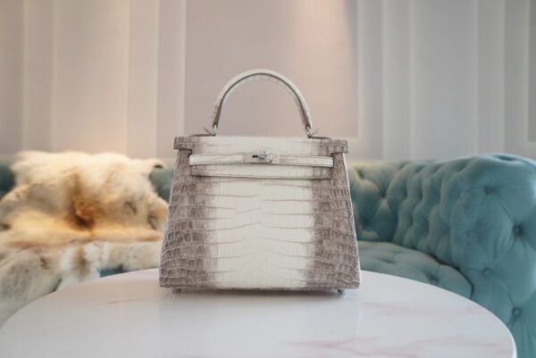 2092d203586e102-1 Full Handmade Hermes Himalaya Crocodile Kelly 25CM Women’s Bag Silver Hardware