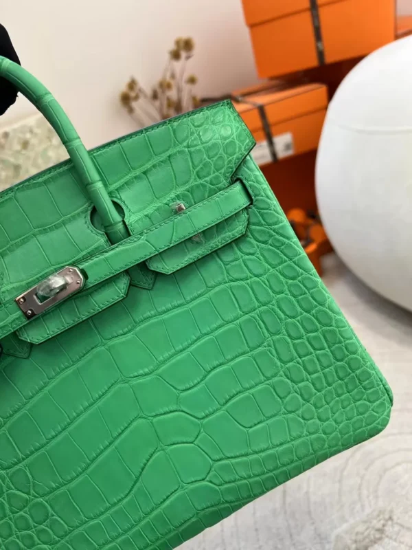 248a1996dfb38fc-jpg Canada Toronto Hermes Birkin 25CM Matte Alligator Crocodile 0Z Vert Comics Silver Hardware