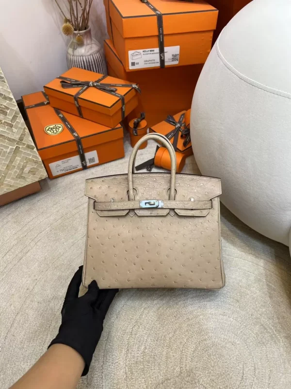 2b30f314d6c54c2-jpg-1 Australia Sydney Birkin 25CM 0M Chai KK Ostrich Leather Silver Hardware