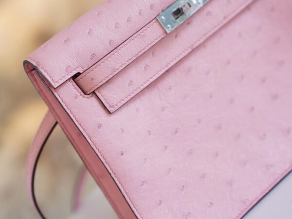 2e34c4cf14d75f6 Discount Hermes 94 Terre Cuite South Africa Ostrich Leather Kelly Danse22CM