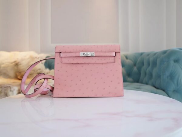2e64ff3a4416124 Discount Hermes 94 Terre Cuite South Africa Ostrich Leather Kelly Danse22CM