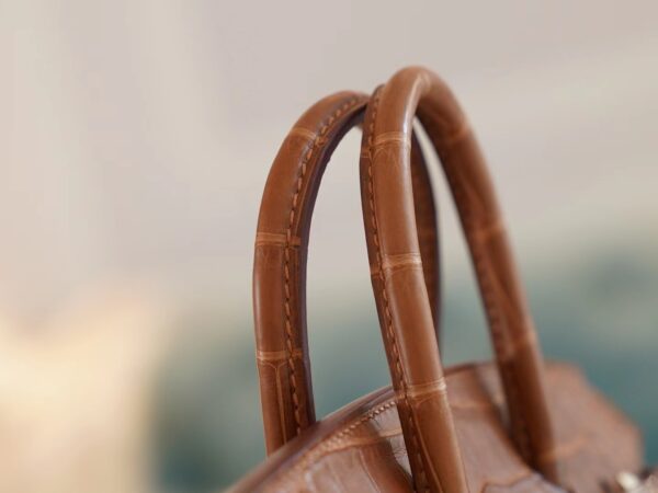 33cfb21988faa4e Canada Toronto Hermes Birkin Sellier 20CM 37 Gold Matte Alligator Gold Hardware