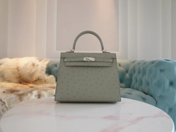 3888610a549e28e-1 Hermes Shop Kelly 25CM KK Ostrich 8U Blue Glacier Silver Hardware