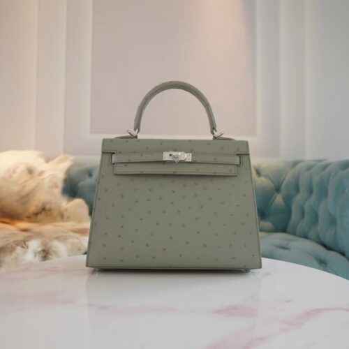 Hermes Shop Kelly 25CM KK Ostrich 8U Blue Glacier Silver Hardware