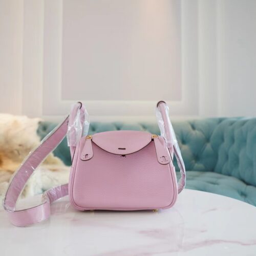 Discount Hermes X9 Mauve Sylyestre Chevre Leather Mini Lindy19CM Gold Hardware