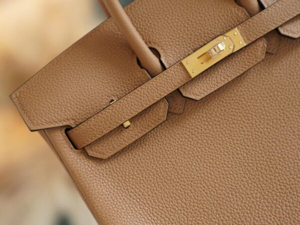 3cc47b07d403c2d Hermes Shop Birkin 25CM 0M Chai Togo Leather Women’s Bag Gold Hardware