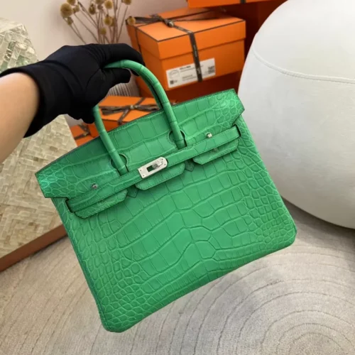 Canada Toronto Hermes Birkin 25CM Matte Alligator Crocodile 0Z Vert Comics Silver Hardware