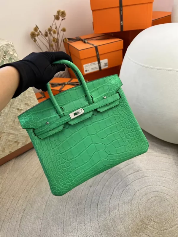 3d49be9c37bcb5d-jpg Canada Toronto Hermes Birkin 25CM Matte Alligator Crocodile 0Z Vert Comics Silver Hardware