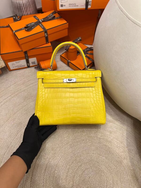 3d64d1bcee1f0b6-1 Hermes Shop Kelly 25CM Matte Alligator M9 Mimosa Silver Hardware