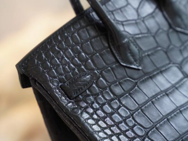 3d9fca8ef98670c Hermes Shop CK89 Nior Birkin 25CM HCP Matte Alligator Silver Hardware