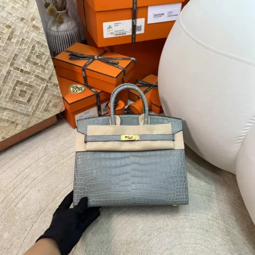 Hermes Birkin Sellier 25CM Matte Alligator 0W Gris Neve Gold Hardware