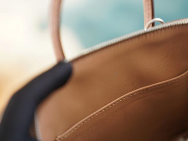 46ae5cd84782d47 Stock God Factory Bags Factory Hermes 2J Quebracho Chevre Leather Mini Bolide18CM Silver Hardware