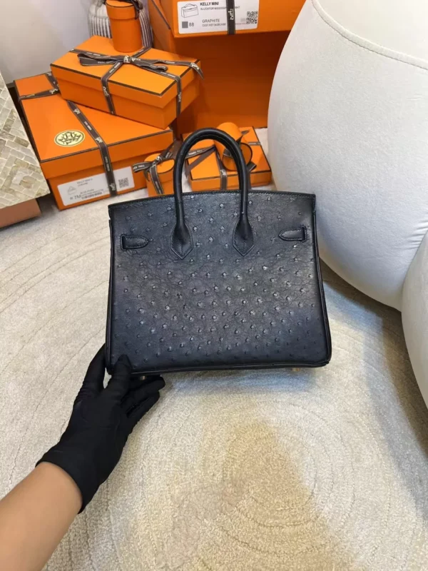 47148ef5410f615-jpg Hong Kong Hermes KK Ostrich Birkin 25CM 89 Noir Silver Hardware