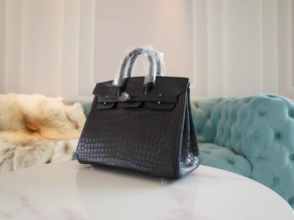 486ae9ed221517d God Factory Bags Factory Hermes CK89 Nior Hcp Niloticus Crocodile Birkin25CM Silver Hardware