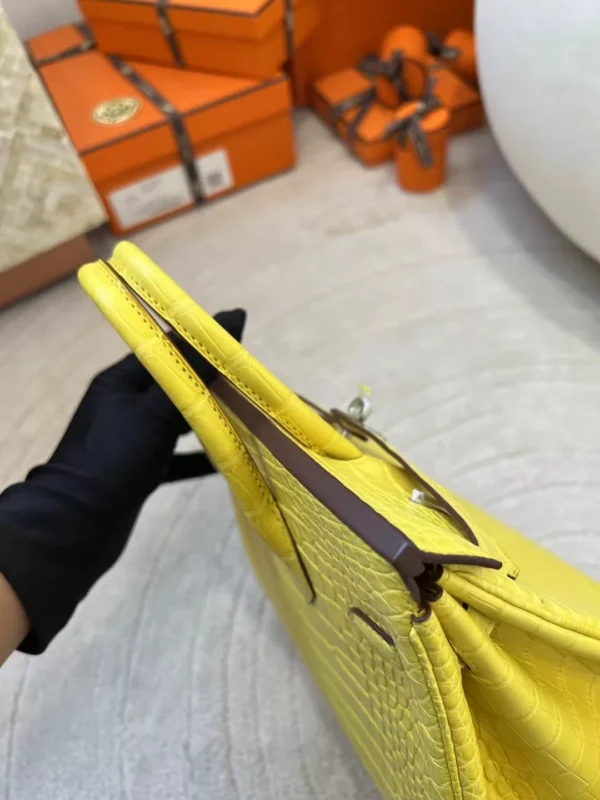 493886f3c1fdd76-jpg New Hermes Matte Alligator Crocodile M9 Mimosa Birkin 25CM Silver Hardware