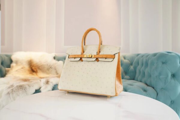 4a949969597d672 God Factory Bags Hermes Birkin Bag25CM 3C Parchemin/1H Toffe KK Ostrich Leather Gold Hardware