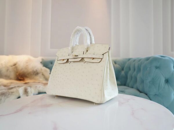 4d5a466d0760d58 God Factory Bags Factory Hermes 8L Beton South Africa KK Ostrich Birkin Bag25CM