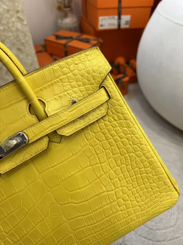 4dd38dd6ab4f49d-jpg New Hermes Matte Alligator Crocodile M9 Mimosa Birkin 25CM Silver Hardware
