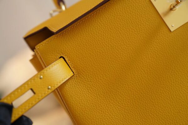 5576cbeb350dd69 New God Factory Bags Hermes 9D Amber Evercolor Kelly Bag 28CM Gold Hardware