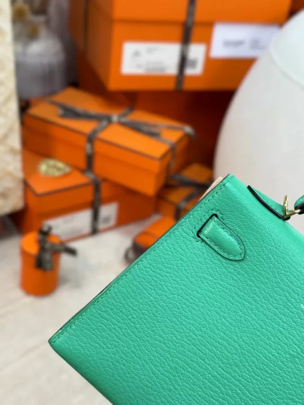 56437b7b89d21b9-jpg Hong Kong 0Z Vert Comics Chevre Leather Mini Kelly 19CM Gold Hardware