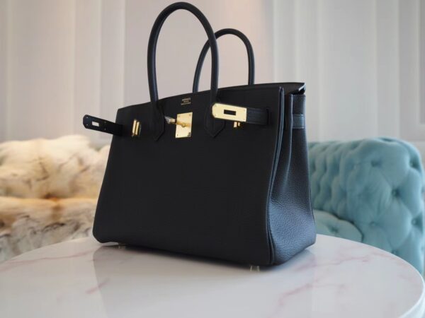 58b2521565441e4 New Arrival Hermes CK89 Nior Birkin 30CM Togo Leather Gold Hardware