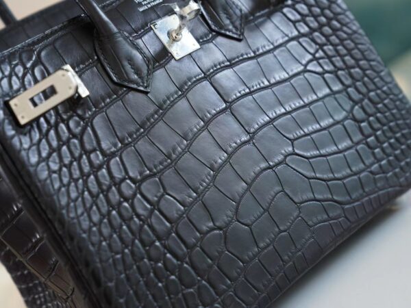 5b8b31fe73eb6b8 Hermes Shop CK89 Nior Birkin 25CM HCP Matte Alligator Silver Hardware