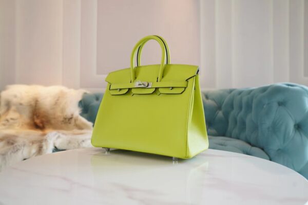 64165026bfef301 God Factory Bags Factory Hermes Kiwi Epsom Leather Birkin25CM Silver Hardware