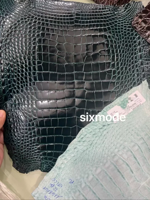 New Arrival Hermes Shiny Alligator Crocodile 6O Vert Cypres