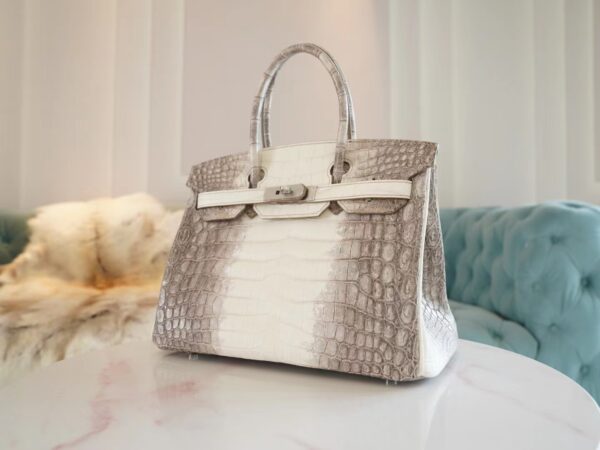 686b0ad55f56b73 Hong Kong Hermes Birkin 30CM Himalaya Matte Niloticus Crocodile Gold Hardware