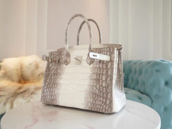 6912400830b05e5 Hong Kong Hermes Birkin 30CM Himalaya Matte Niloticus Crocodile Gold Hardware