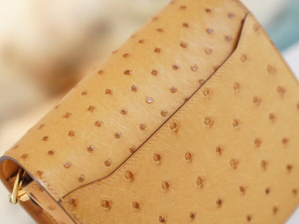 6e710b1c2d48208 New Hermes Roulis Mini18cm Tabac-Camel South Africa Ostrich Skin Gold Hardware