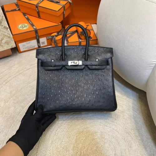 Hong Kong Hermes KK Ostrich Birkin 25CM 89 Noir Silver Hardware