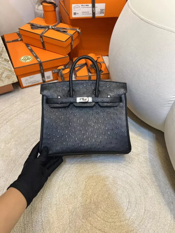 6ea651e7dbfaa24-jpg Hong Kong Hermes KK Ostrich Birkin 25CM 89 Noir Silver Hardware
